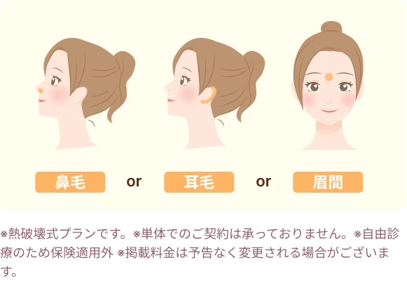 鼻毛・耳毛・眉間VIOプラン料金