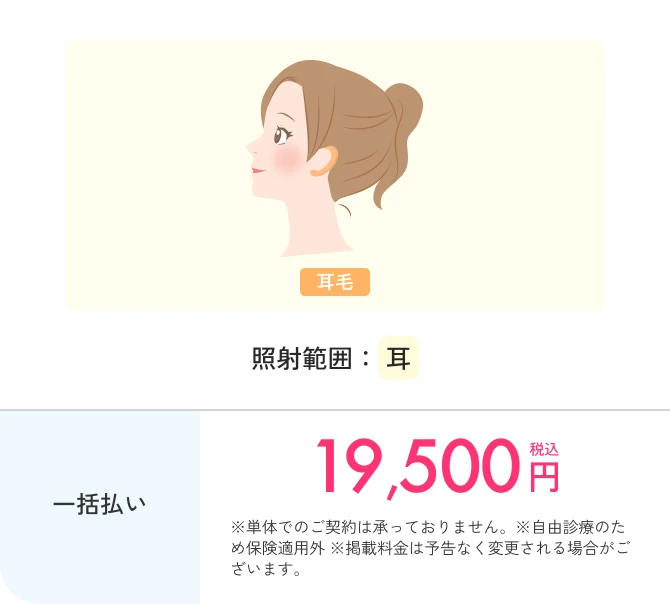 全身+顔プラン料金