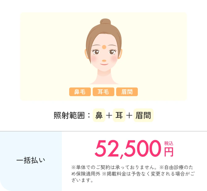 全身+顔プラン料金