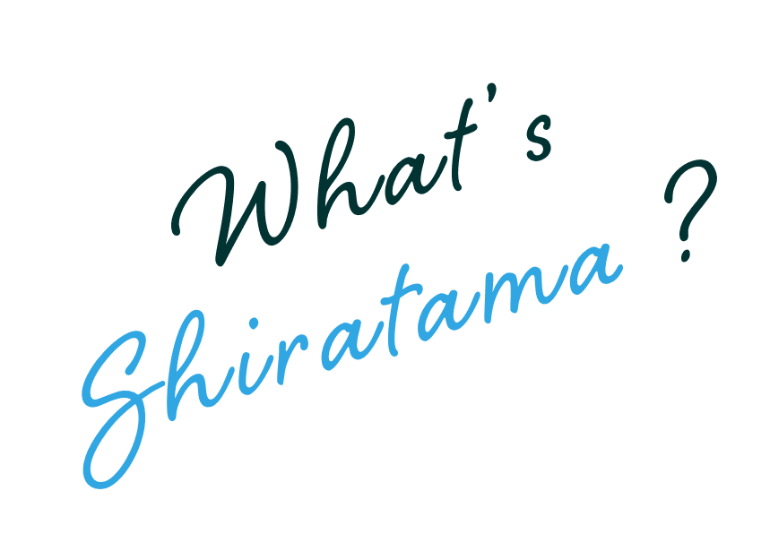 What's Shiratama?